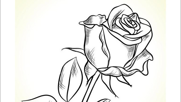 black and white drawings