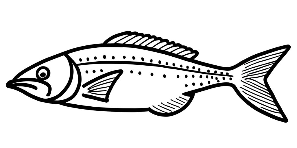 black and white fish pictures