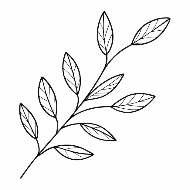 black and white leaves clipart