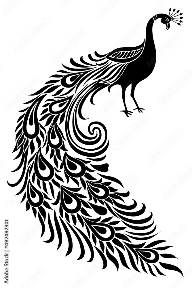 black and white peacock designs