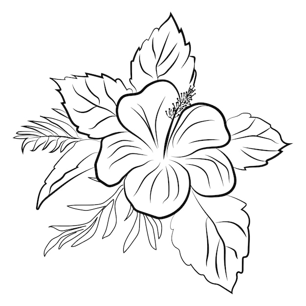 black and white pictures of flowers to draw