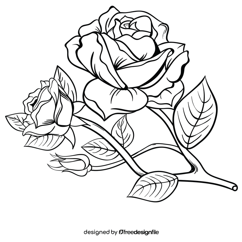 black and white rose clipart