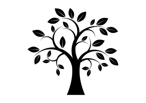 Black And White Tree Picture Images – Browse 210,200 Stock Photos ...