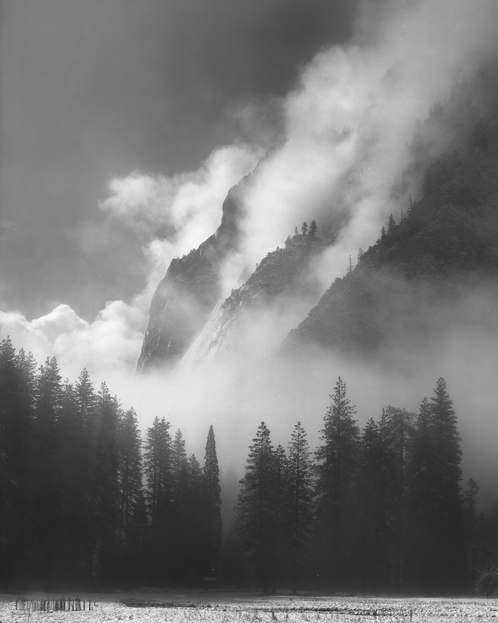 When and Why to Make a Photo Black and White