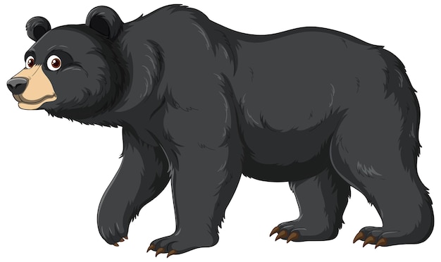 Black Bear Clipart Images - Free Download on clipart library