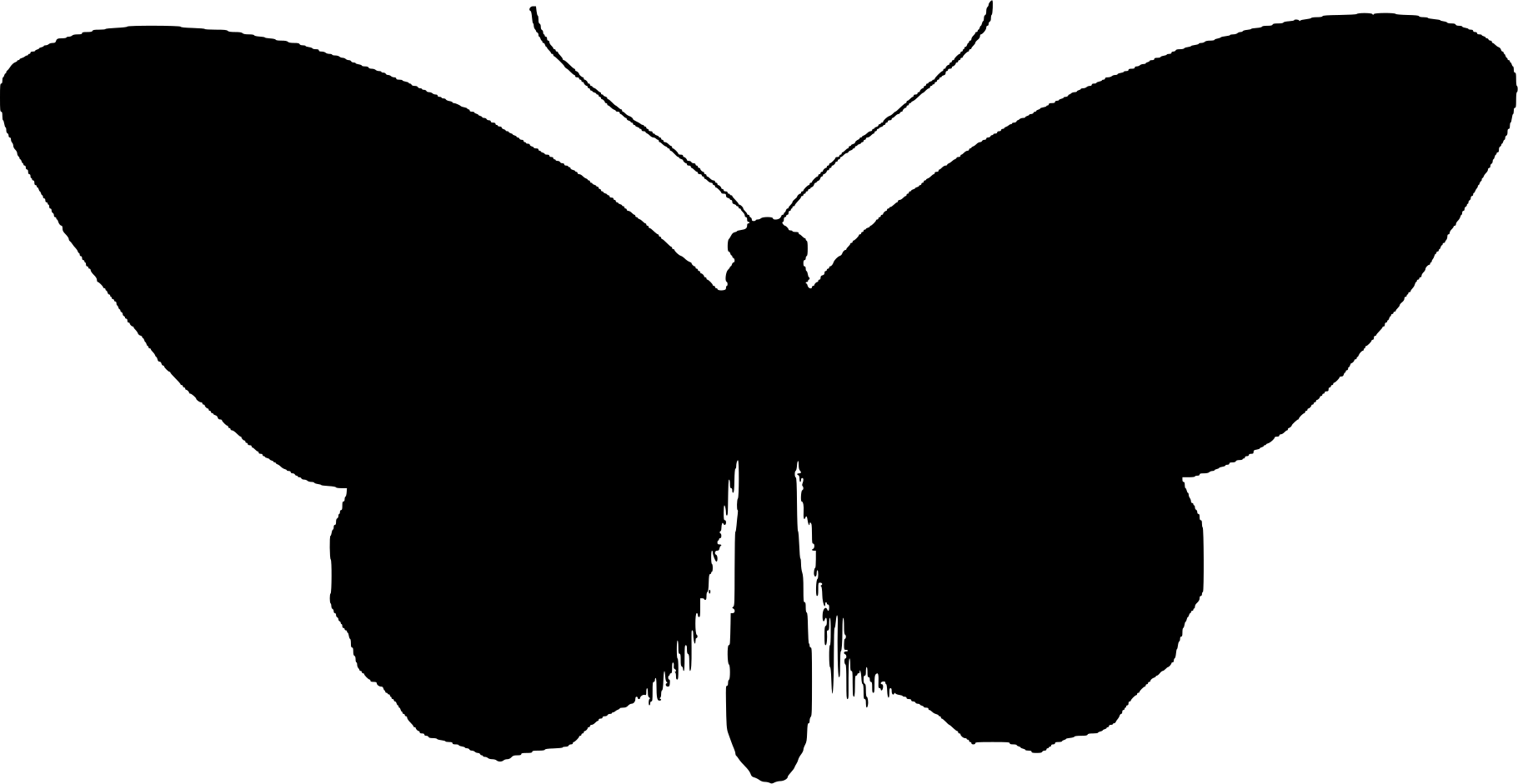 black butterfly cliparts 2024
