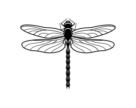 black dragonfly cliparts 2024
