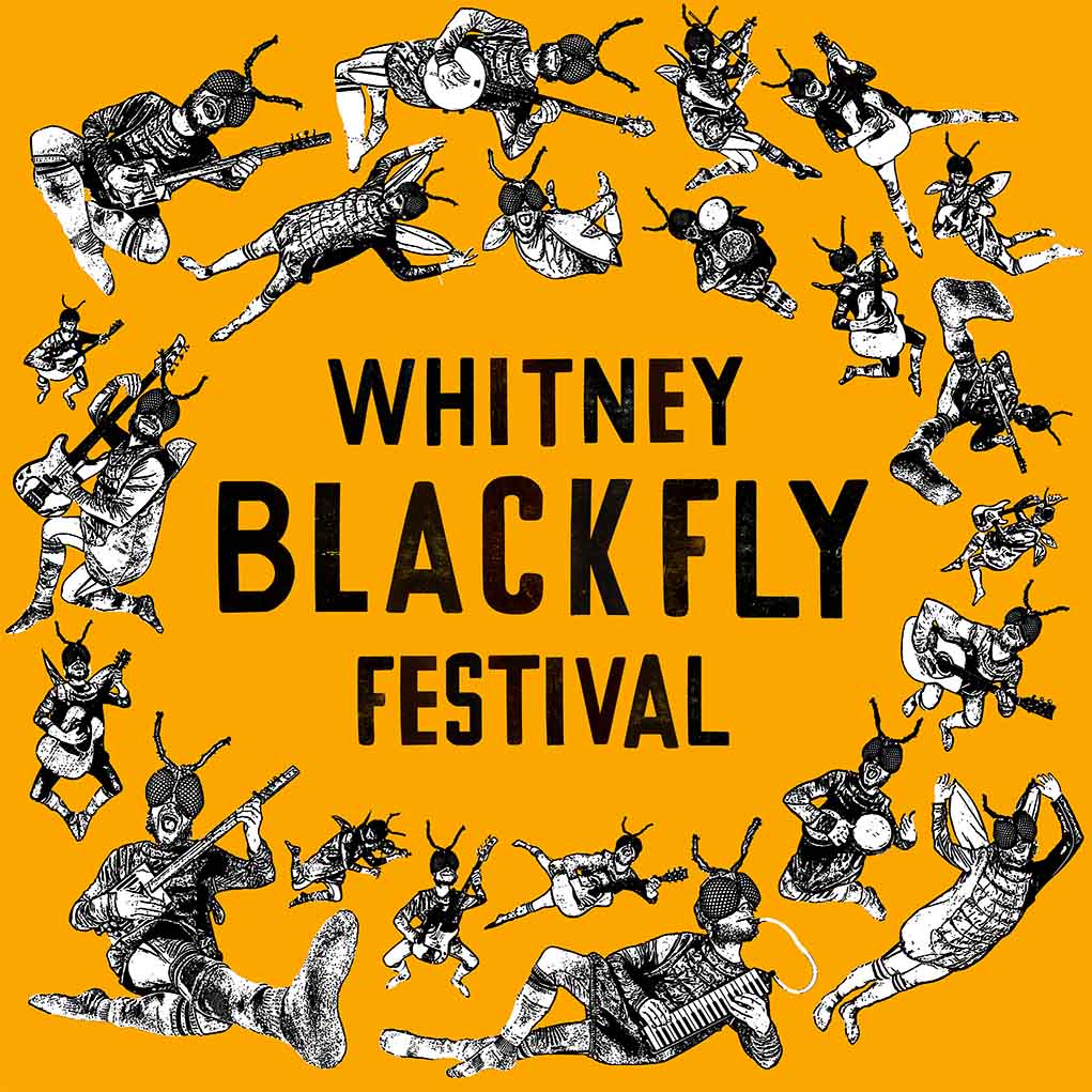 black fly cliparts 2024