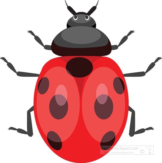 black ladybug cliparts