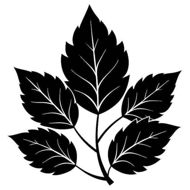 black leaves cliparts 2024