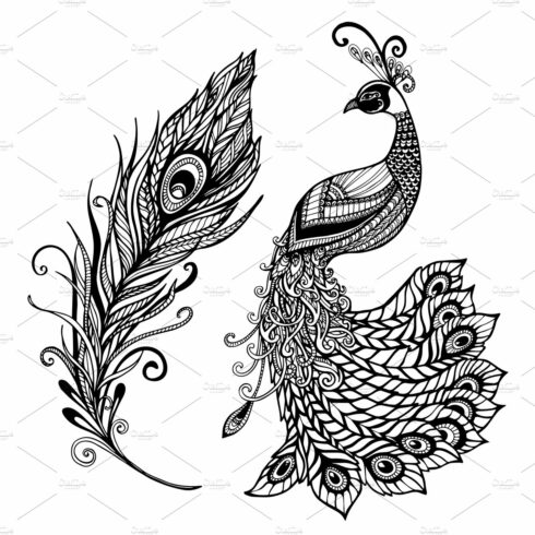 54+ Peacock Cliparts for 2024 - MasterBundles