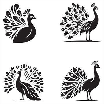Peacock with beautiful feather silhouette vector art illustration ...
