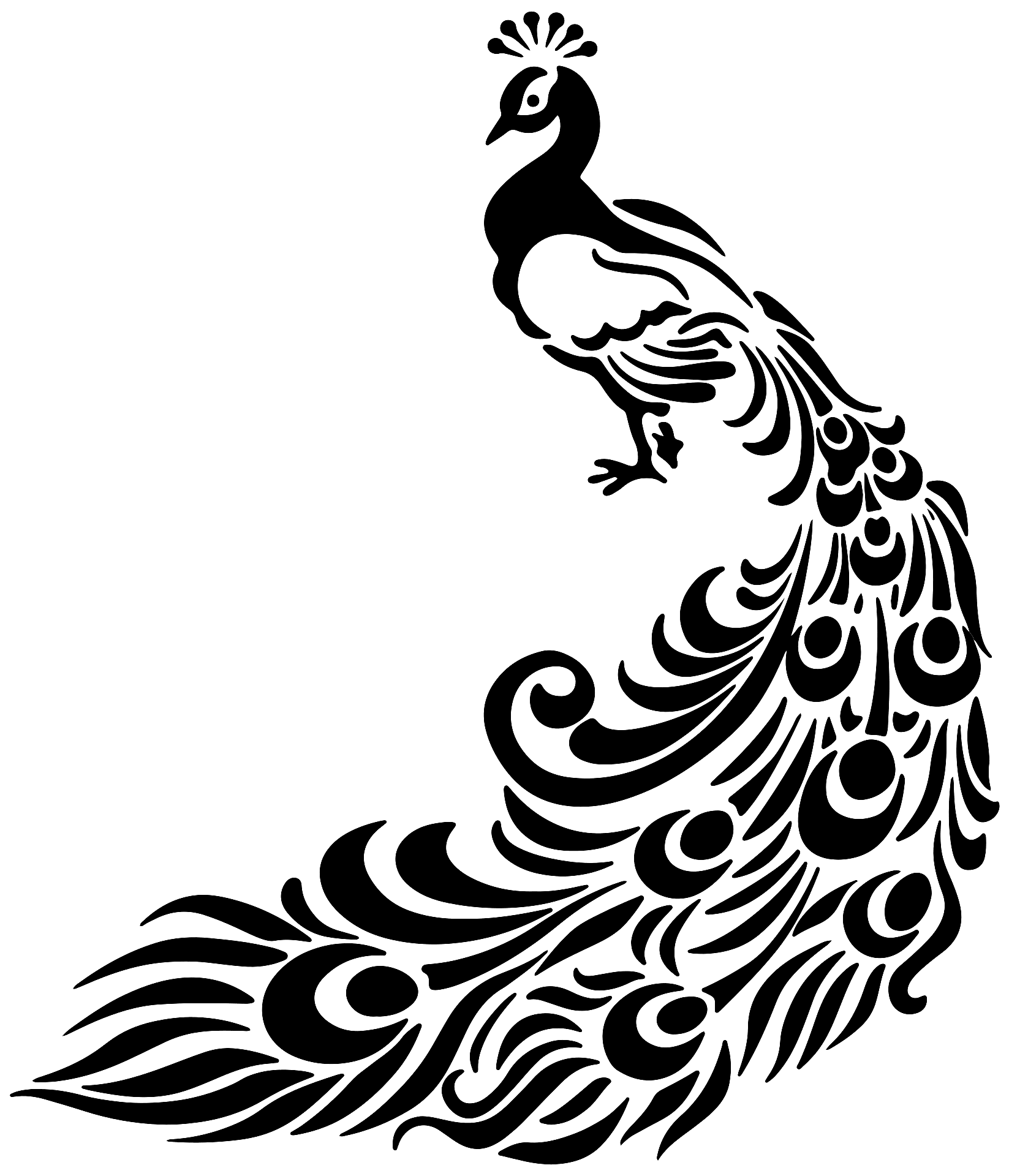 black peacock cliparts
