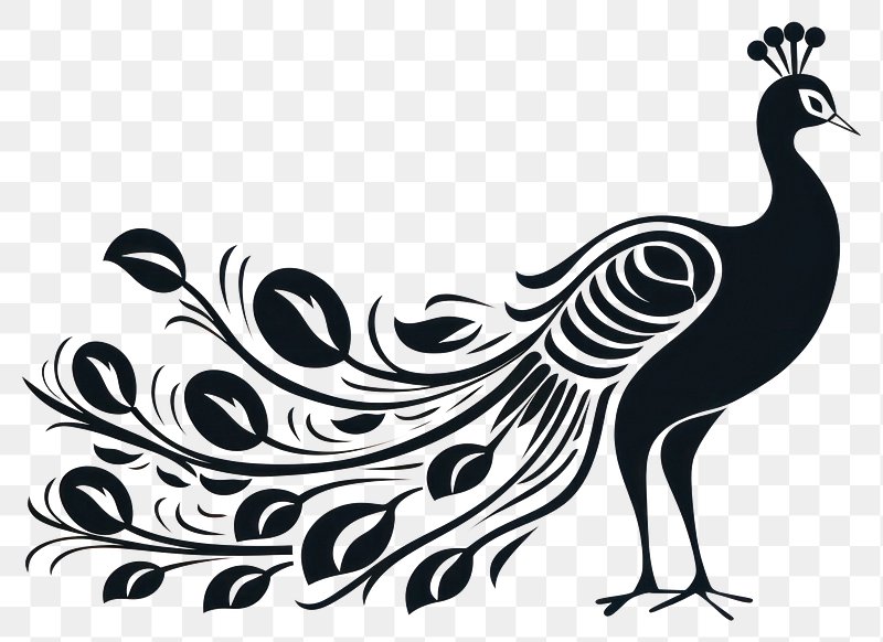 black peacock cliparts
