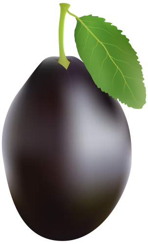black plum cliparts