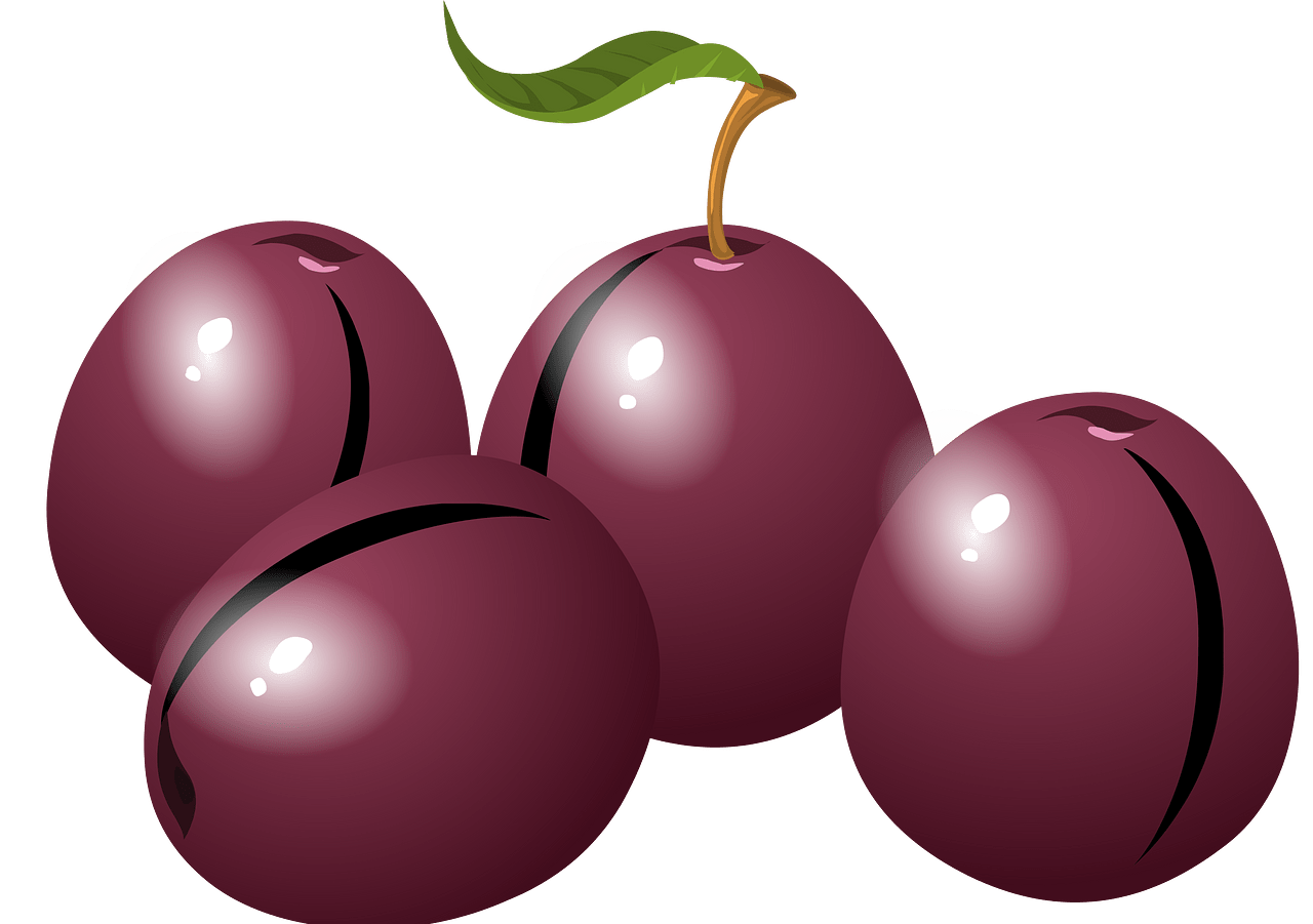 black plum cliparts