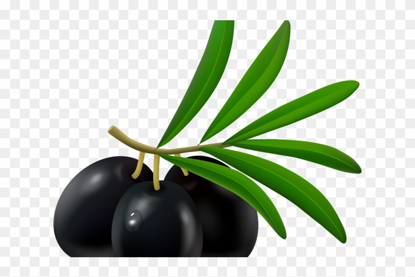 black plum cliparts