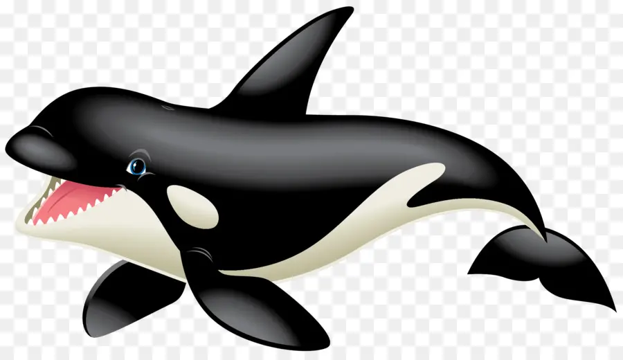 black whale cliparts 2024