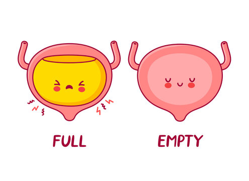 Bladder Cartoon Images – Browse 7,454 Stock Photos, Vectors, and ...