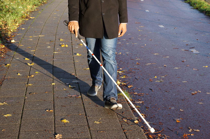 Everything You Need to Know About White Canes