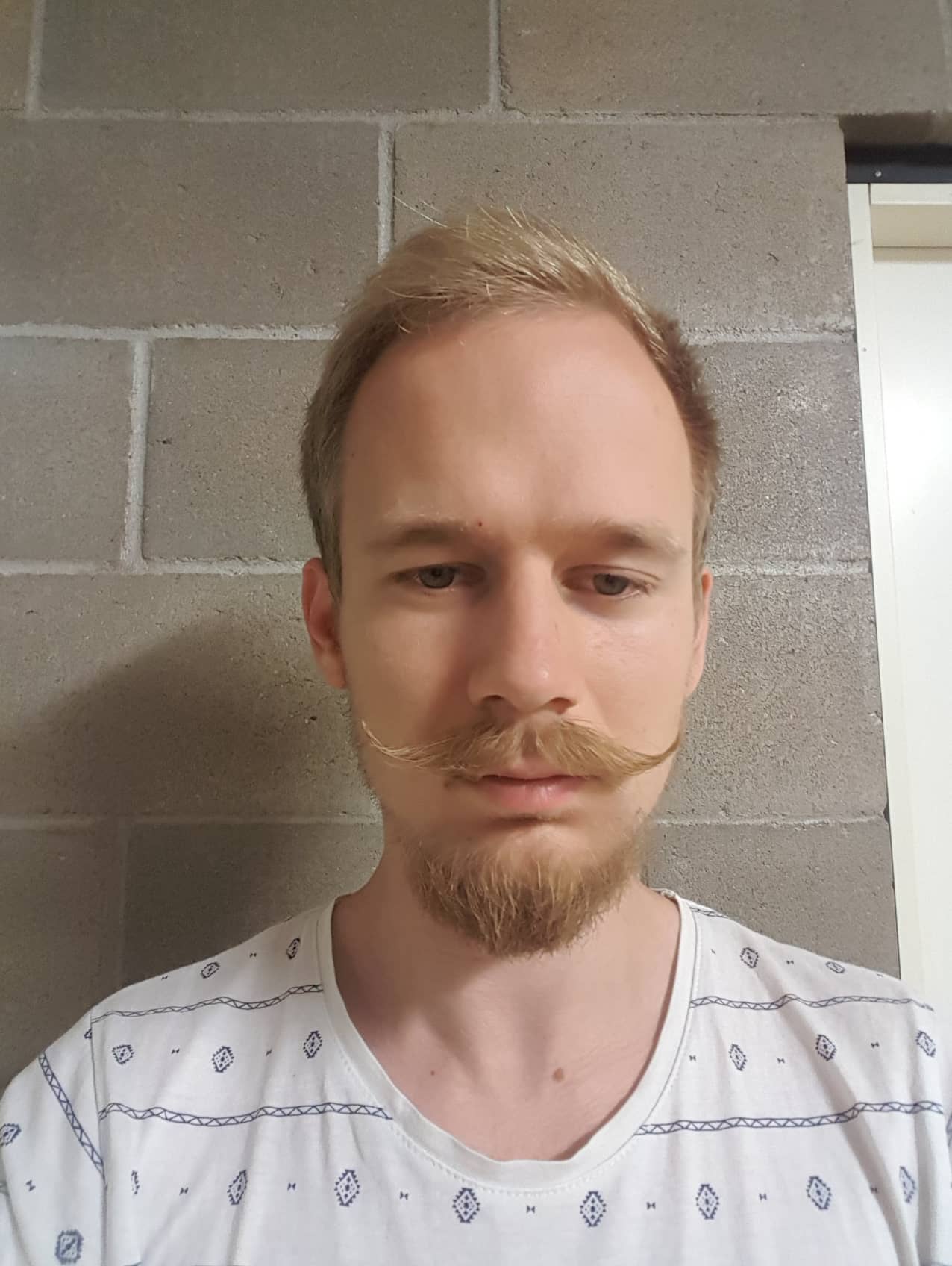 Blonde moustache : r/Moustache