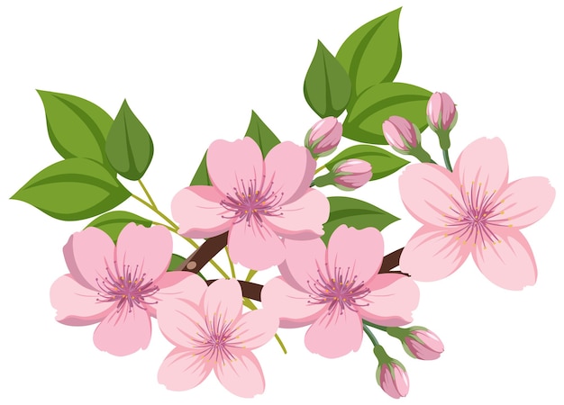 blossoms cliparts