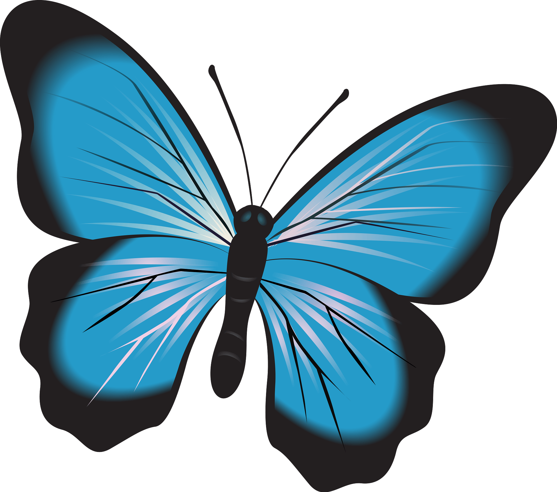 blue butterfly clipart