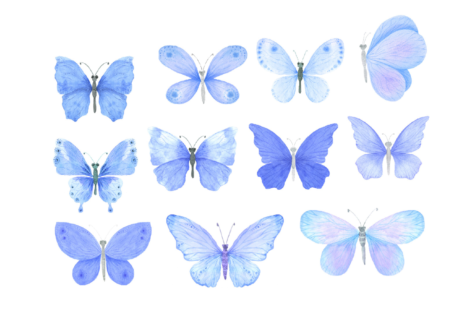 blue butterfly clipart