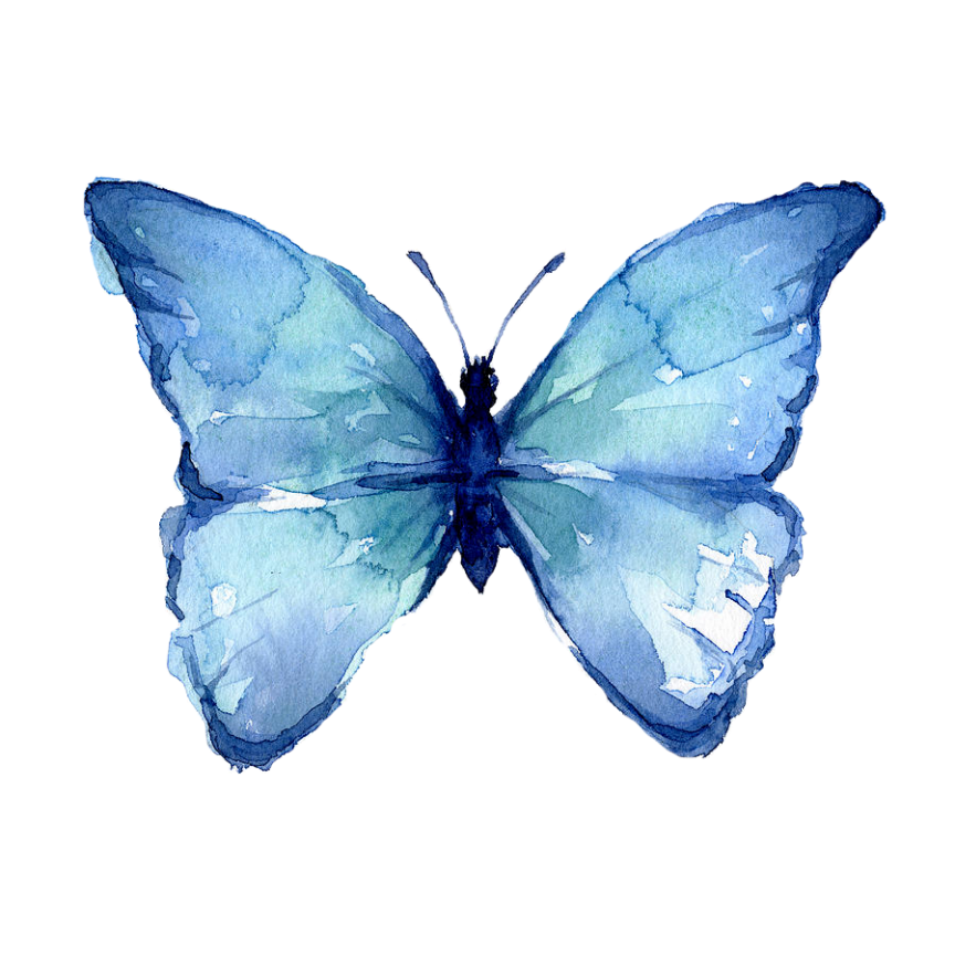 the Blue Butterfly - Reposed Light