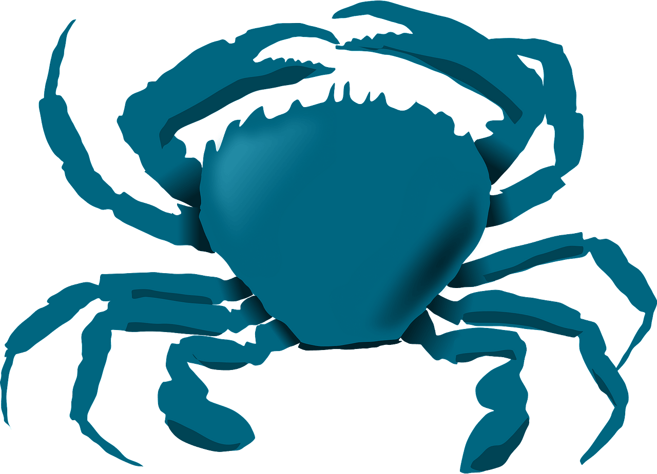 blue crab clipart 2024