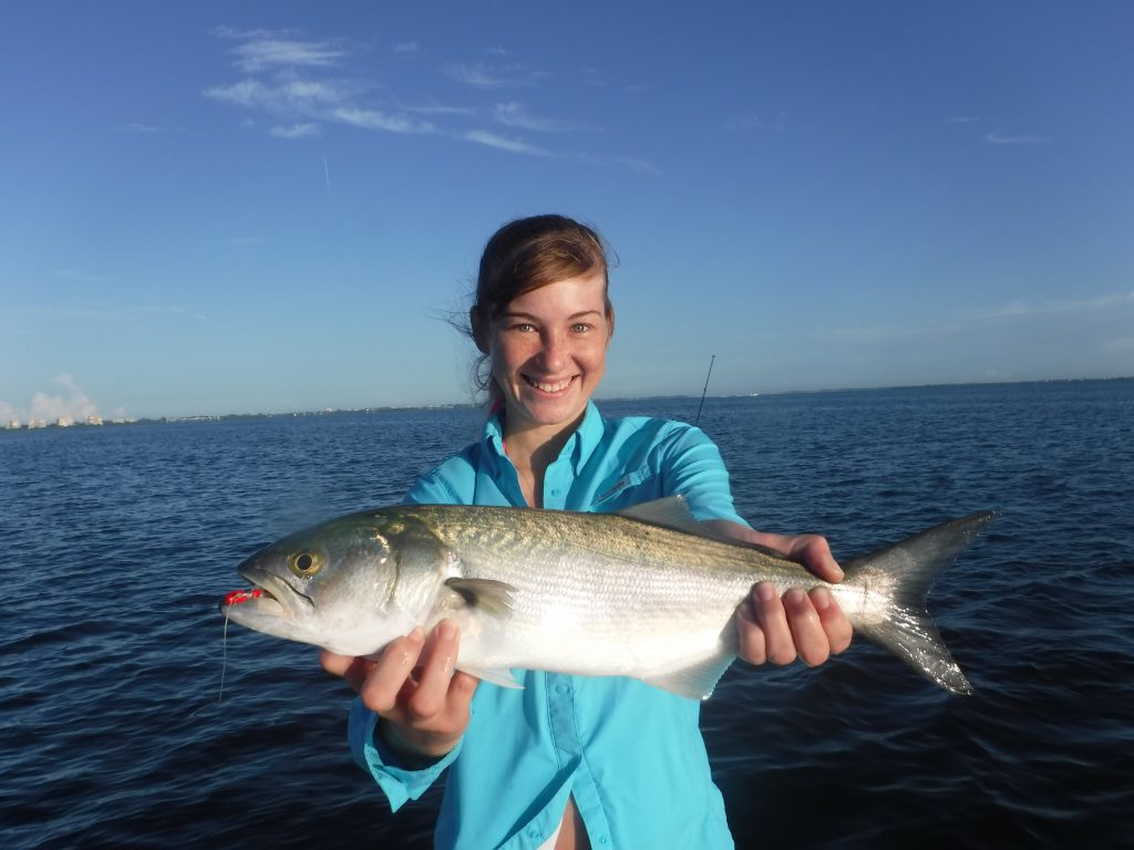 blue fish