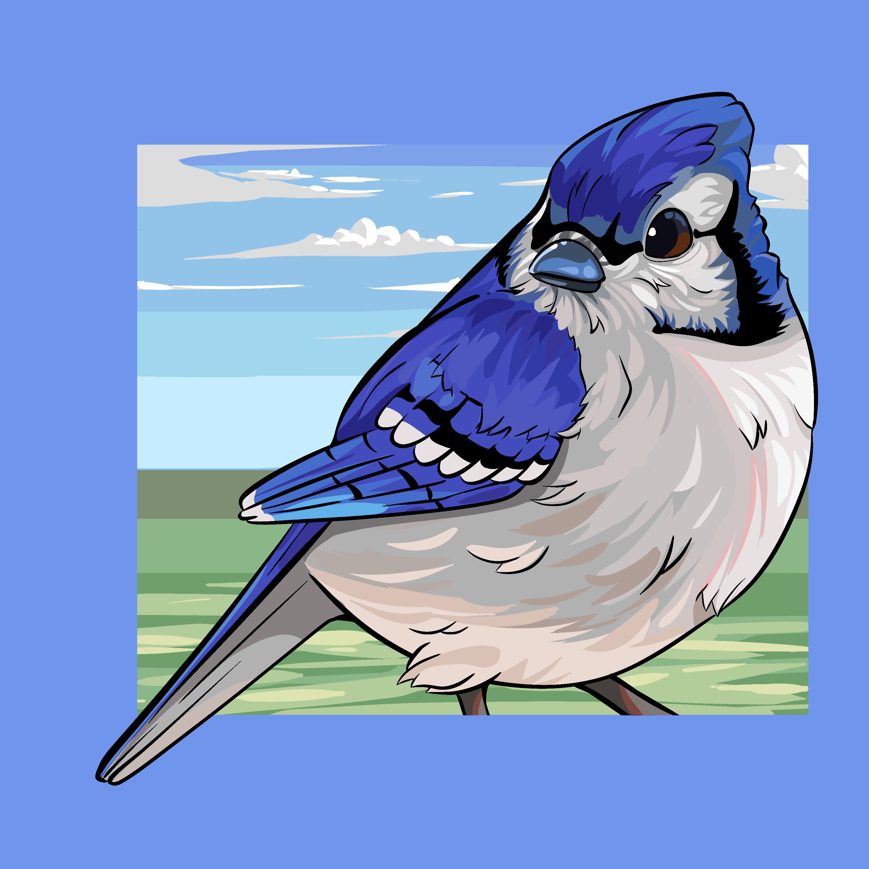blue jay clipart 2024