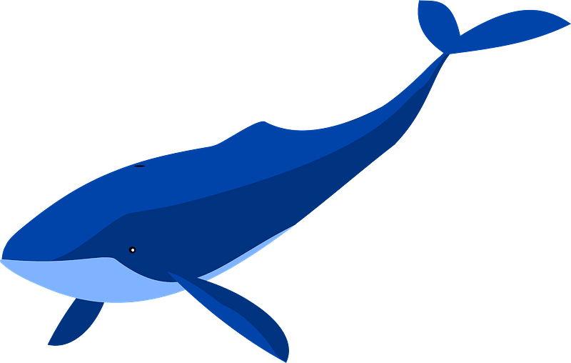 blue whale clipart