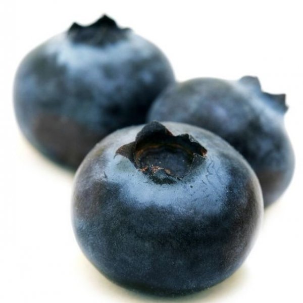 Blueberries - Assortment - Special Fruit