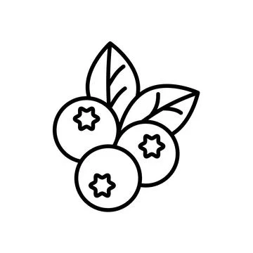 blueberry clipart