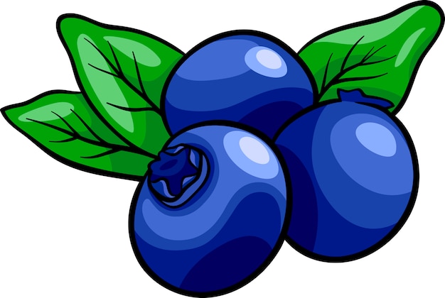 blueberry cliparts