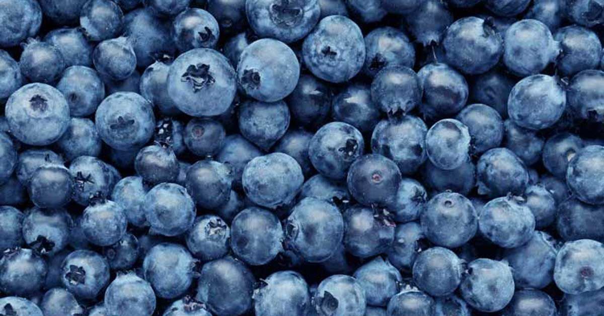 blueberrys