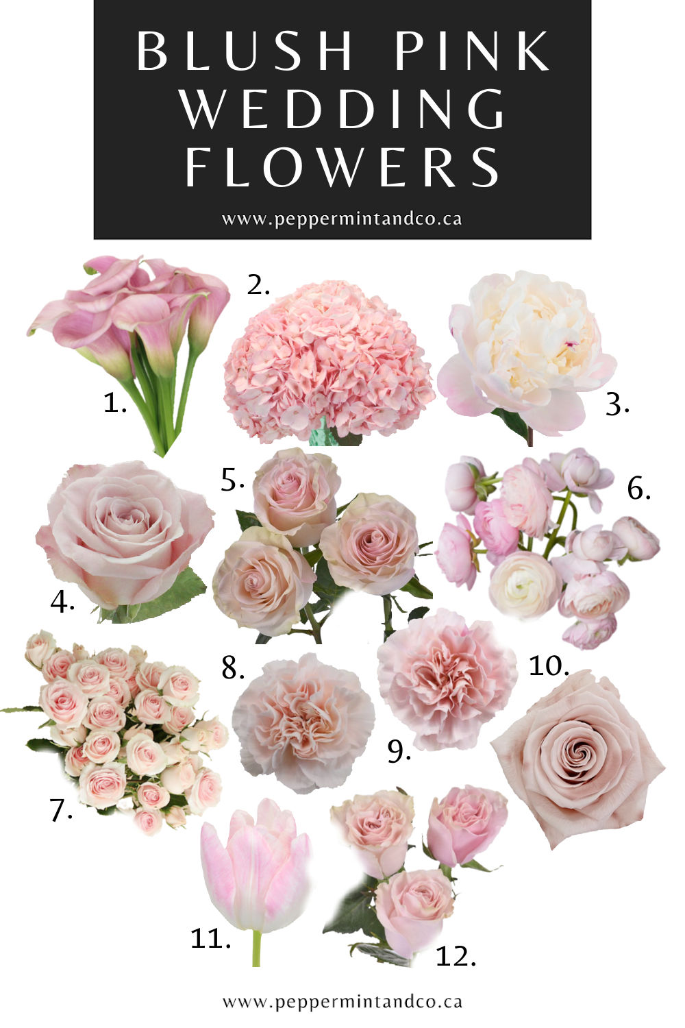 Blush Pink Wedding Flowers: DIY Bouquet &amp; Centerpieces | DIY Guide