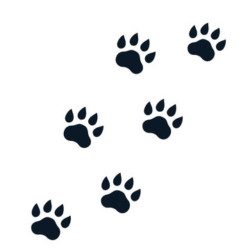 bobcat paw print
