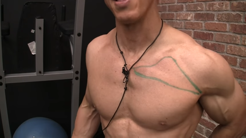Chest Workouts - Best Exercises for Muscle and Strength