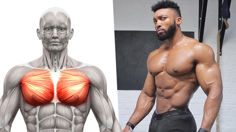 How to Build a Bigger and Stronger Chest in 30 Days (With Home ...
