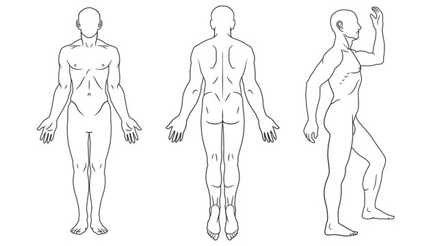 body outline cliparts 2024