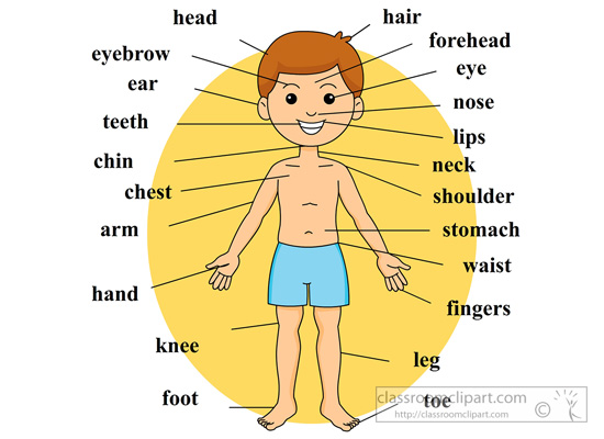 Anatomy Clipart - boy-body-anatomy-body-parts-labeled - Classroom ...