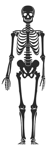 bones skeleton cliparts