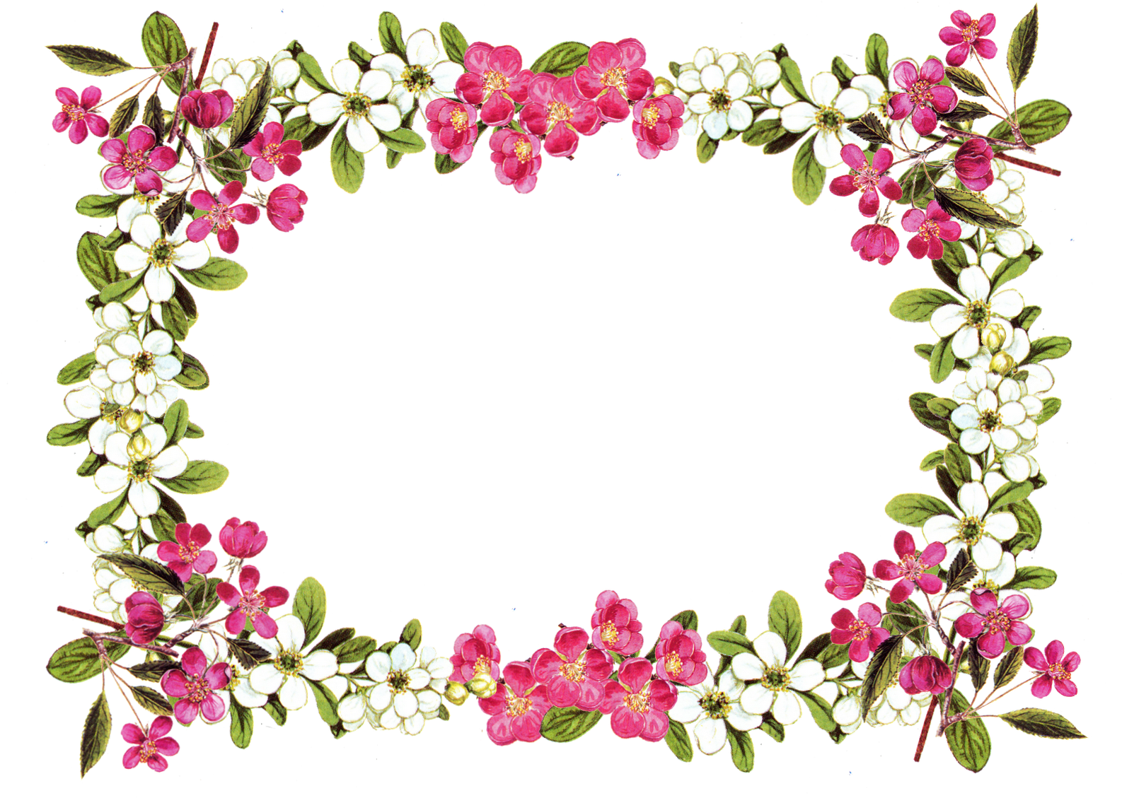 border cliparts flower