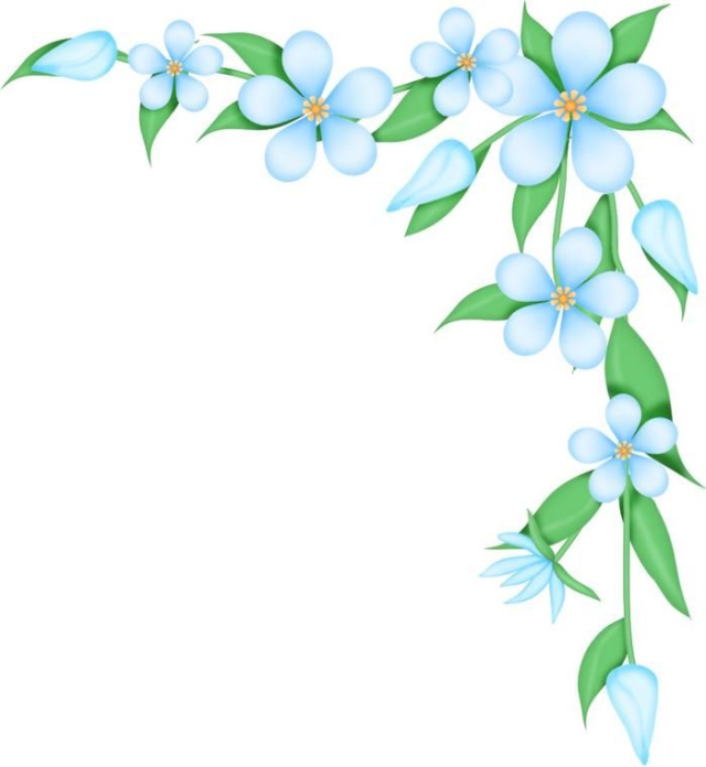 border flower clipart