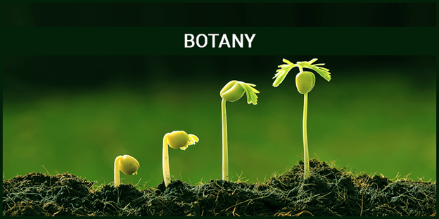 What is Botany? - Meaning, History, Branches, Importance