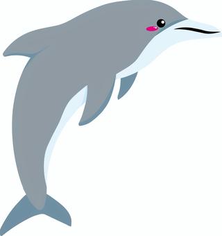 bottlenose dolphin cliparts