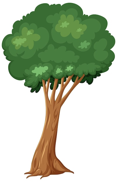 brach cliparts