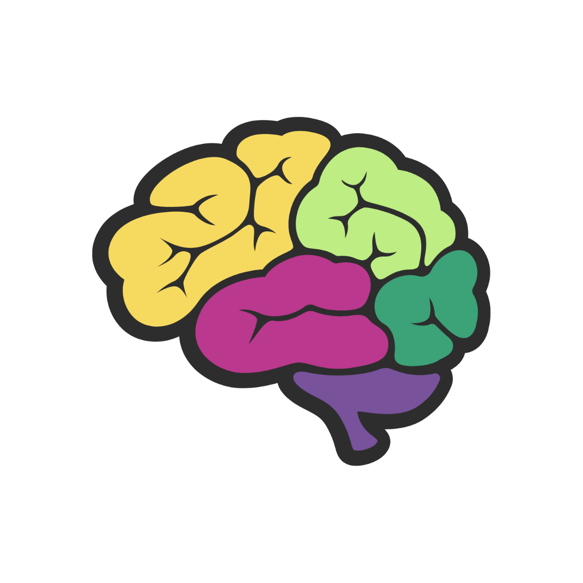 brain cliparts